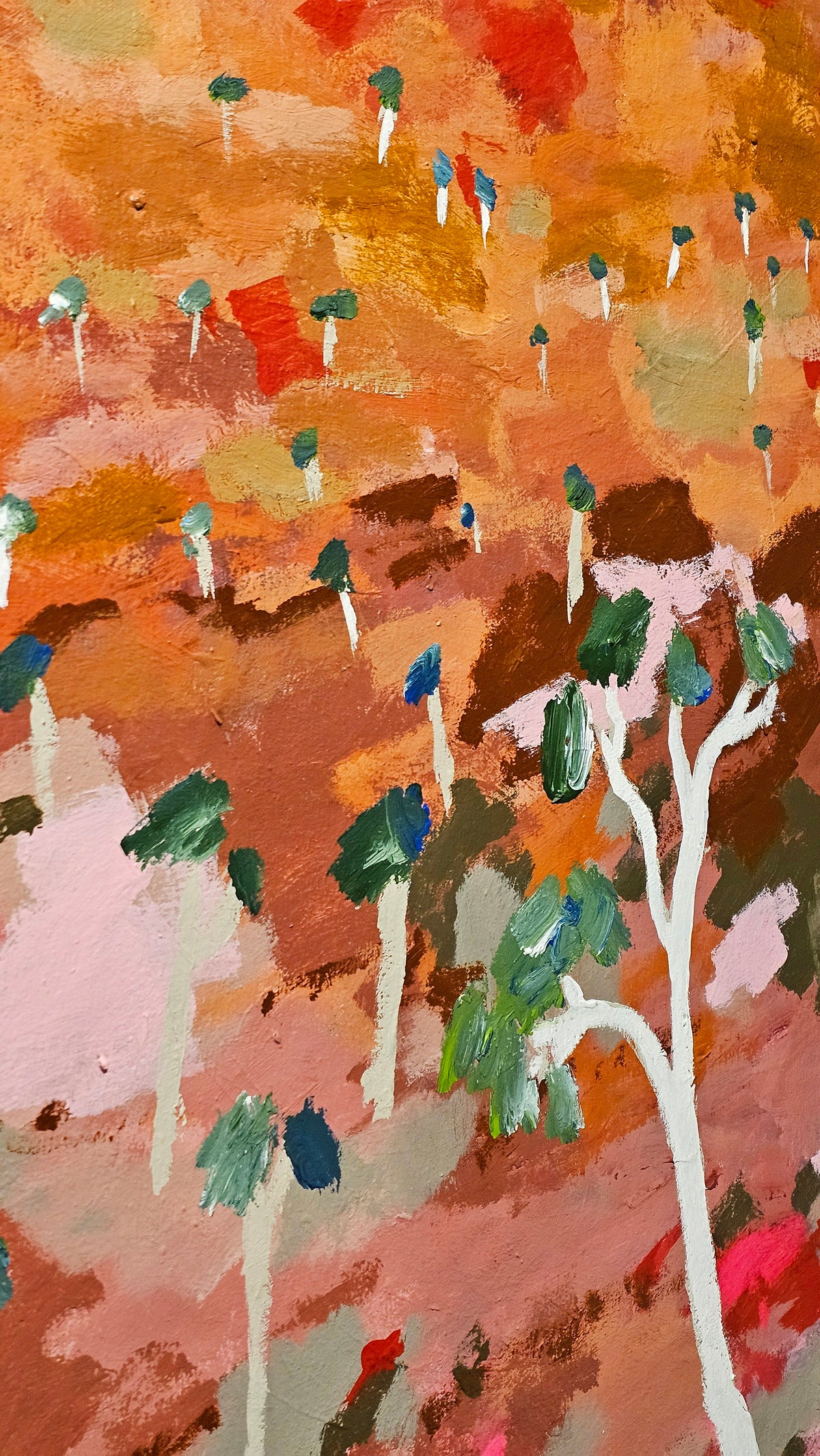 An Outback Gorge