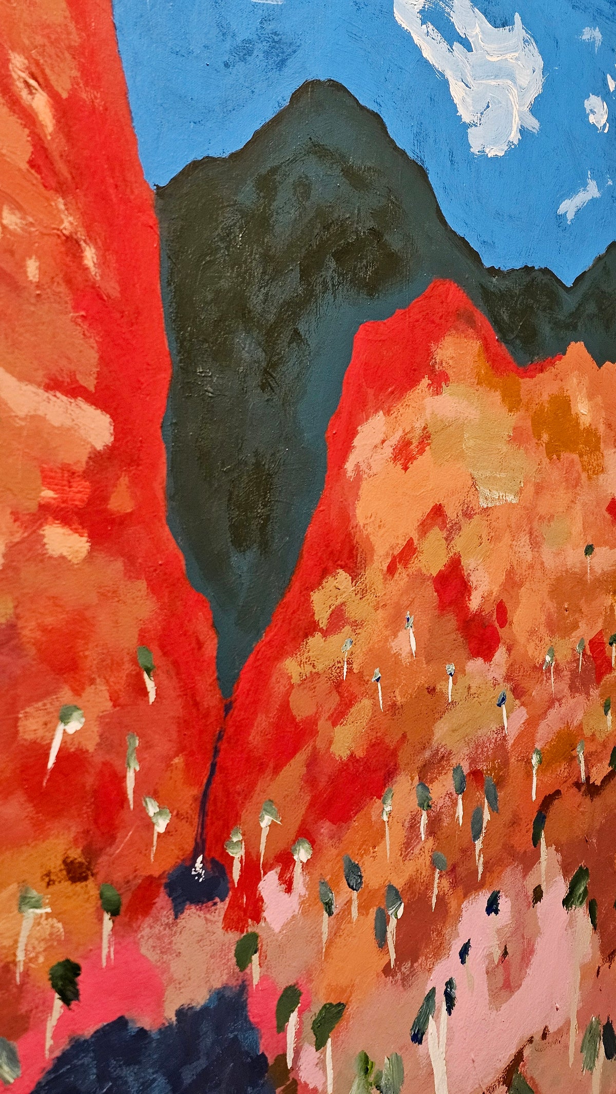 An Outback Gorge