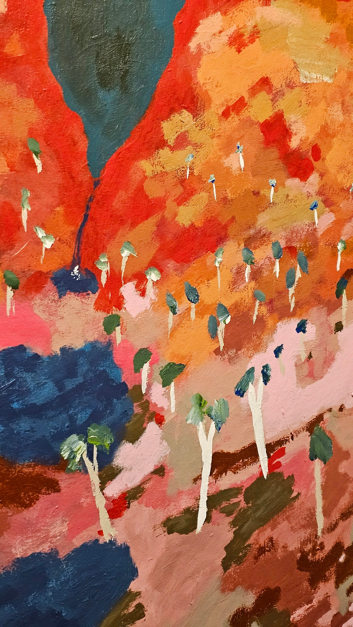 An Outback Gorge