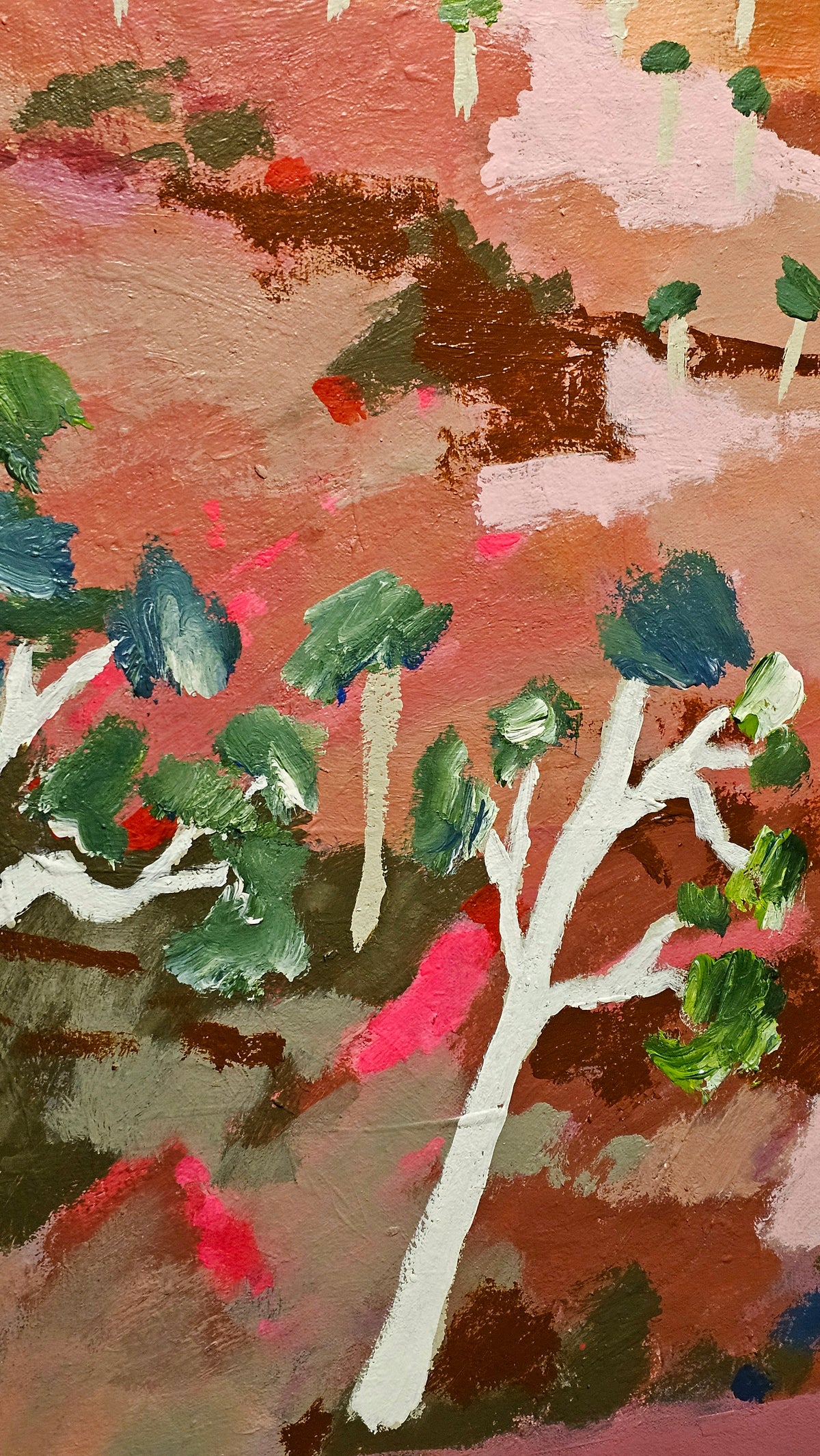 An Outback Gorge