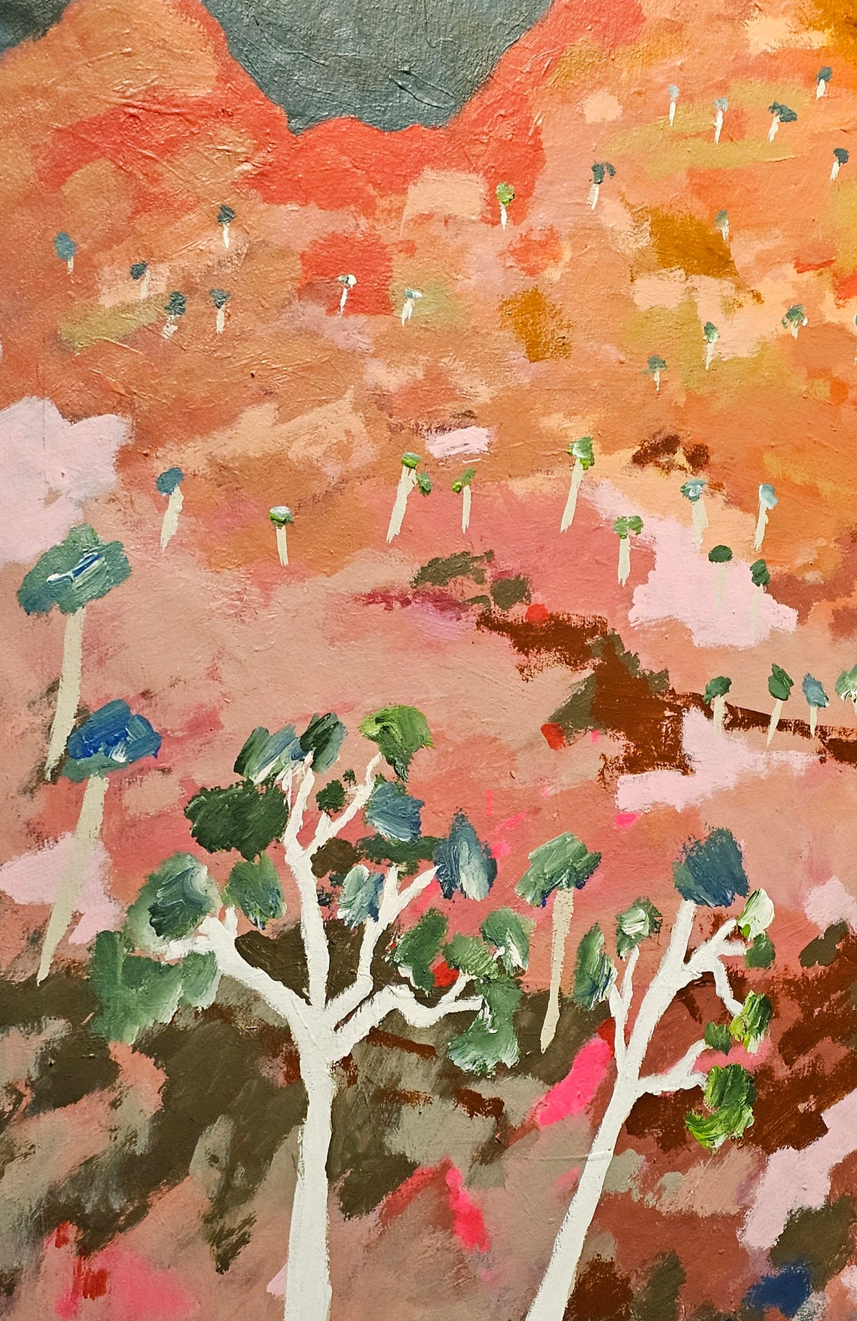An Outback Gorge