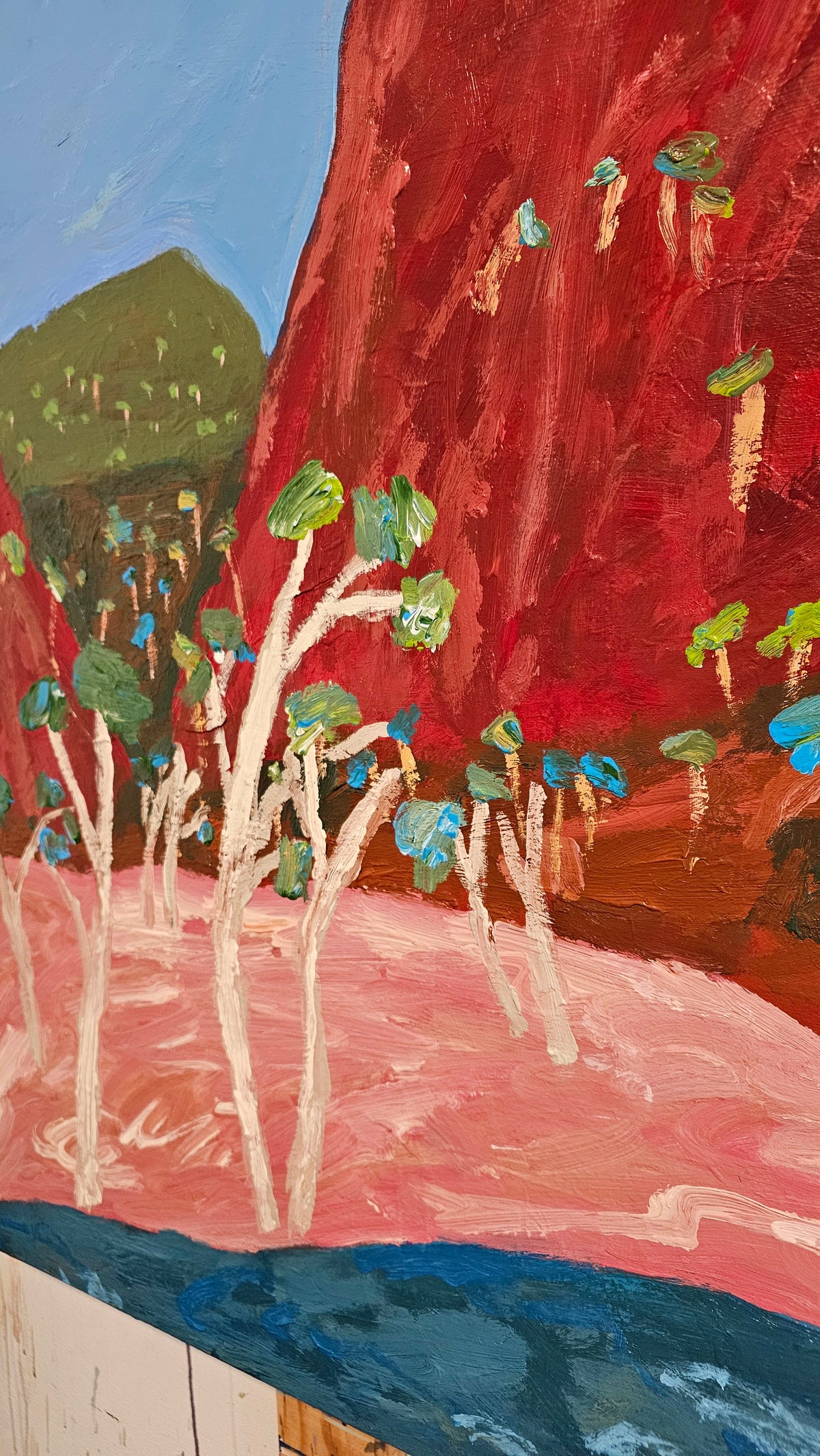 Ancient Gums Beside A Waterhole