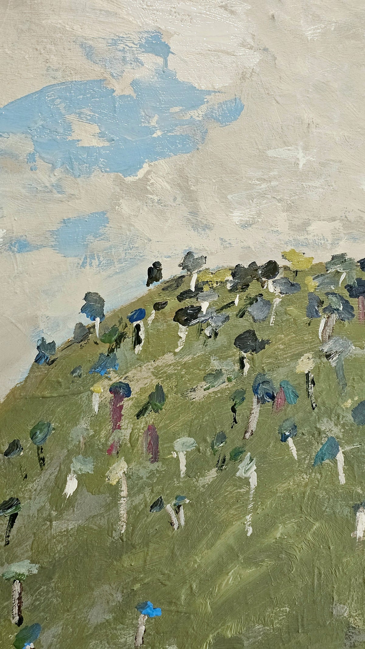 A View Of The Mountain