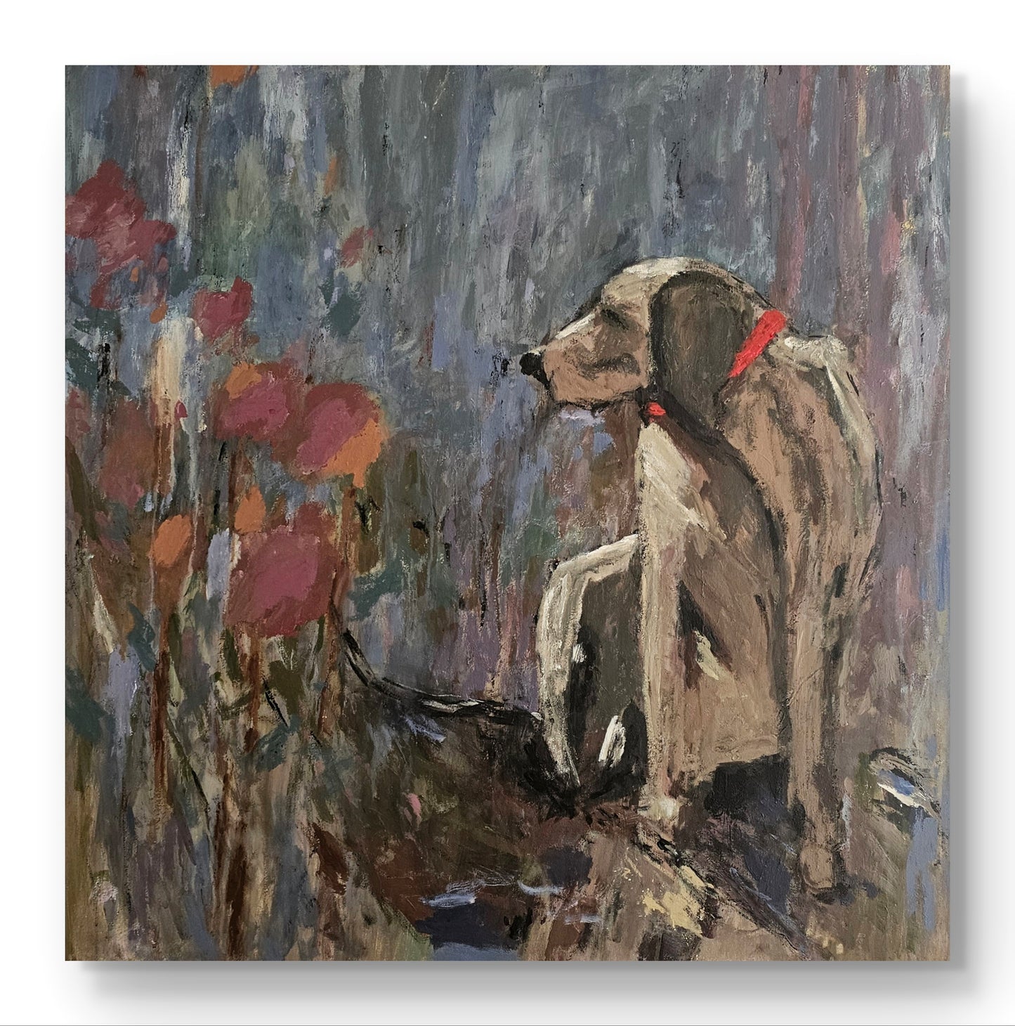 Dog Amongst The Flowers