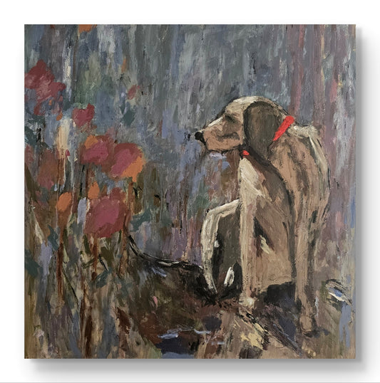Dog Amongst The Flowers