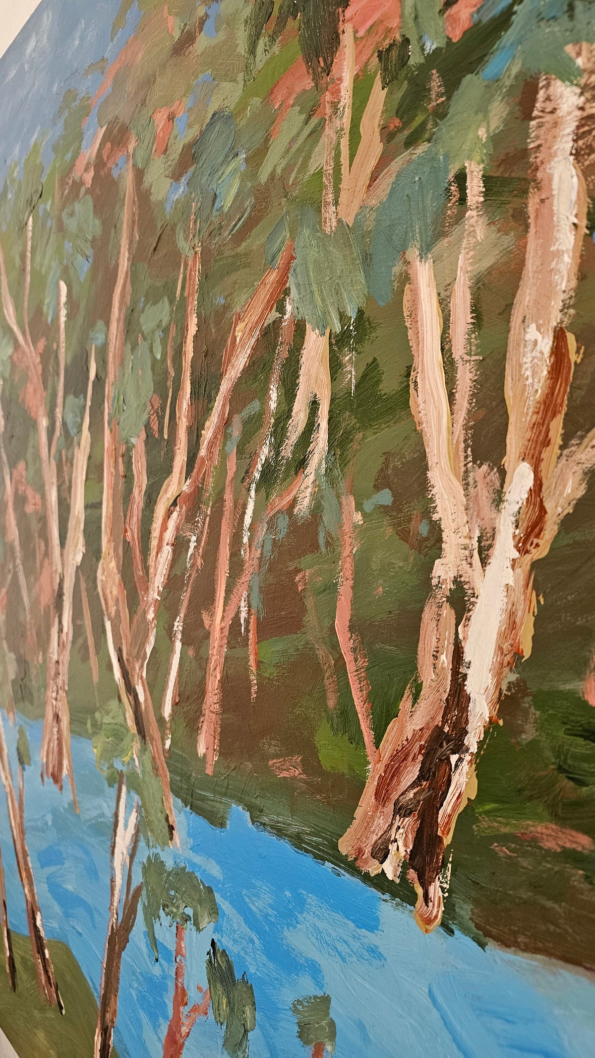Red River Gums Beside The Murray