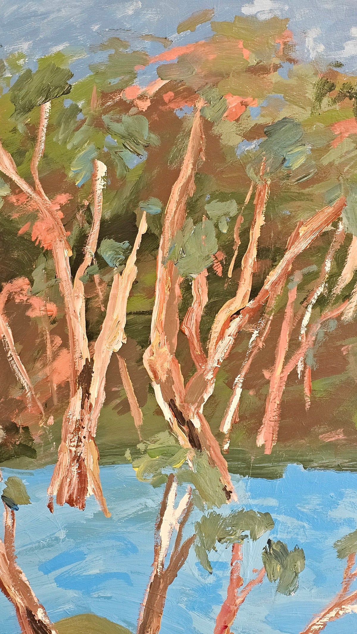 Red River Gums Beside The Murray