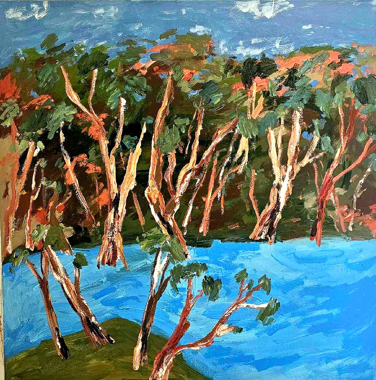 Red River Gums Beside The Murray