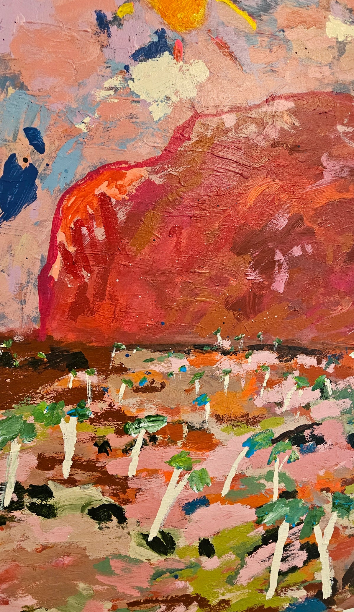 Red Rock Under The Desert Sun
